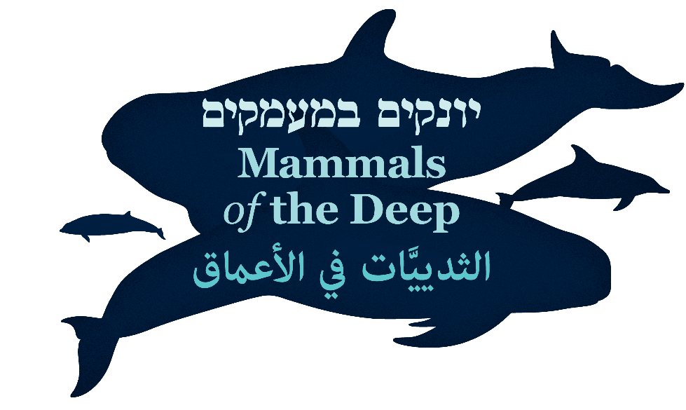 מסע אל זיכרונות הסבתא